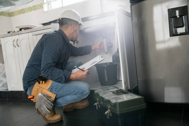Best Commercial Plumbing Services  in Stevensville, MI
