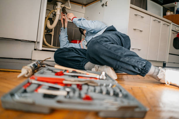 Best Hot Water Heater Installation  in Stevensville, MI