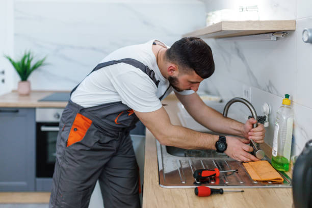 Best 24-Hour Plumber Near Me  in Stevensville, MI