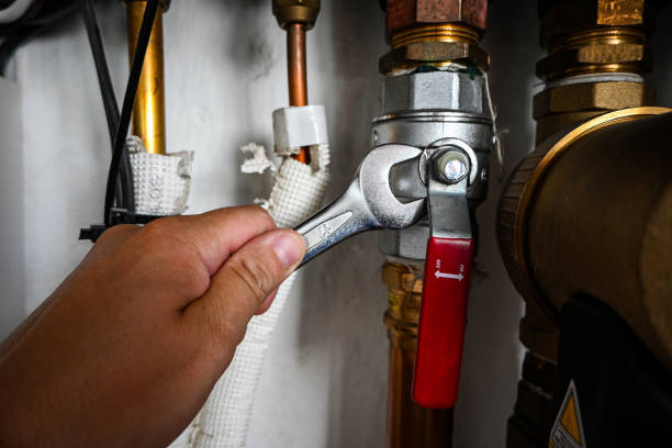 Best Emergency Plumber  in Stevensville, MI